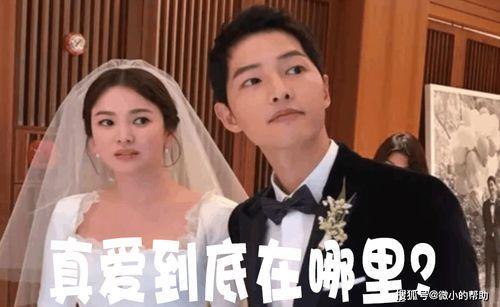 娱乐圈打工人吃瓜事件,揭秘明星背后的辛酸与真相